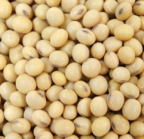 Soya Beans